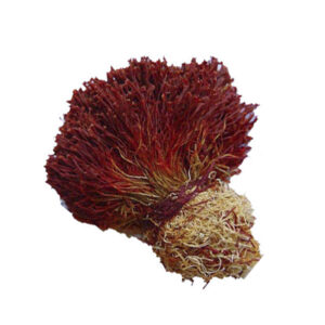 different types of iranian saffron & how to use saffron