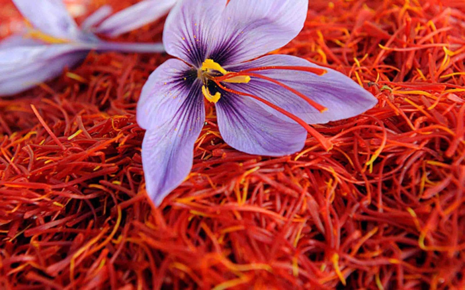 Introducing grades of saffron